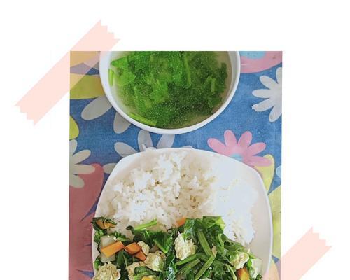 美食世界-素丁盖饭（素食主义者的最爱）